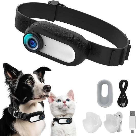 Pet Supplies Cat And Dog Collar Camera Indoor And Outdoor Wireless Recording