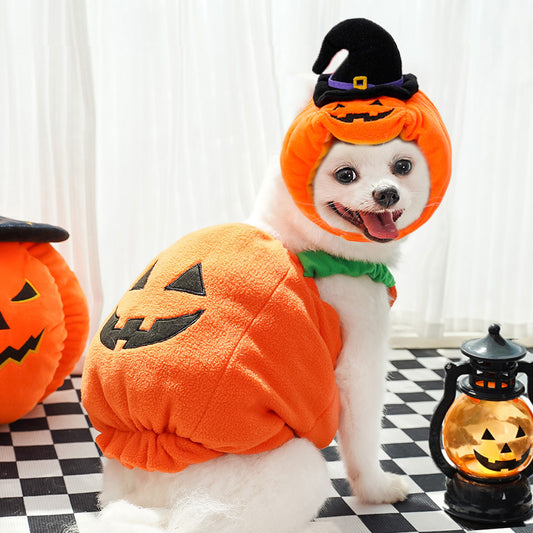 Dog Halloween transformation costume