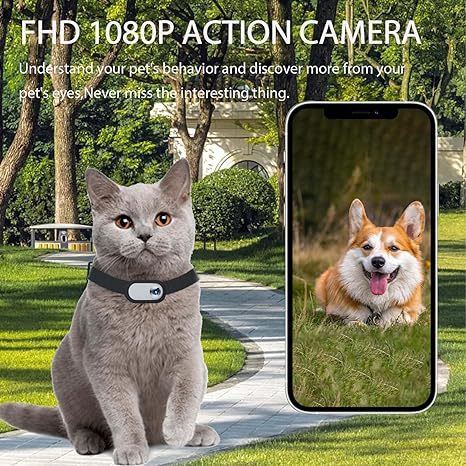 Pet Supplies Cat And Dog Collar Camera Indoor And Outdoor Wireless Recording